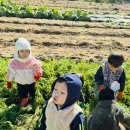 봉산농장 이미지