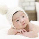 폴스베이비