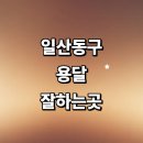 고양 일산동구 근처 화물용달 잘하는곳 추천 용달이사...라보용달 침대 견적 소형 후기 렌트 대형 다마스