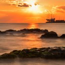 쿡앤푸드 이미지