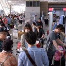 바글바글 이미지