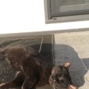 하경농장 이미지