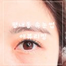 애뷰리띵