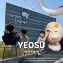 아쿠아플라넷 여수 | 여수 아쿠아플라넷 후기 아이와 함께 다녀온 솔직리뷰 주차 식당 정보 (공연시간 체크)