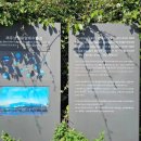 올레길안내소 이미지