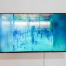 쉐마미술관 이미지