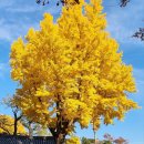 성균관대학교 이미지