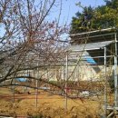 알이랑농장 이미지