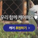 라파엘농장 이미지