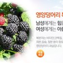 성일농장 이미지