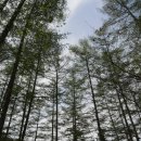 사방외갓집마을 이미지