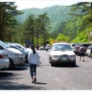 동해사슴목장 이미지