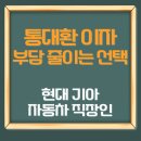 현대기아자동차 | 현대 기아 자동차 직장인 통대환 이자 부담 줄이는 선택