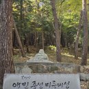 다솔마루 | 용화세계로 가는 두 가지 길 1