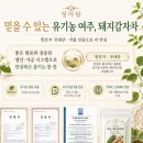 청어람 - 마포구 망원로11길 7 | 청어람 돼지감자차 후기｜구수하게 즐기는 건강차 추천