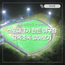 화성도시공사 체육시설 1부 화성드림파크 리틀1구장 | 프로 야구단도 인정했다! 스포테크가 만든 야구장 요목조목 알아보기