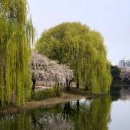 고고하개 | [마음의 울림] #14 천년의 거인들