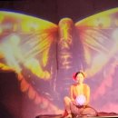장 미디어 | 괌 카레라 디너쇼 🎭 미디어쇼·마술쇼까지! 실제 다녀온 솔직 후기 + 가성비 예약 꿀팁