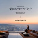 분당-143 이미지