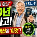 60세넘어 ‘이공부’ 시작했더니, 치매걱정 사라지고 인 후반전이 180도 달라져!-백작가TV 어른심리통 이미지
