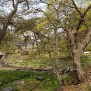 초간정화장실 이미지