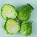 푸른디딤(주)농업회사법인