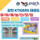 ★병아리 하이킥!!★모전리 동아대강한KTIGERS태권도 주말 유아체능단 모집!! 이미지