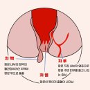 가능약국 네이버블로그