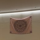 오르아요가 | 운정 오르아 요가 하타 수업 후기