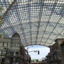 고투앤드플레이 | 일본 연수 / 264일차. 유니버셜 스튜디오 재팬(USJ) 부시기 / 고투트래블