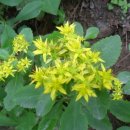 푸른금산어린이집 이미지