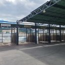 골든24시셀프세차장 이미지