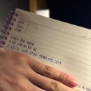 83돼지 이미지