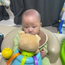 까꿍아기사랑 이미지