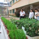 서울은빛초등학교 이미지