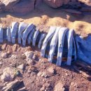 (주)쥬라기 이미지