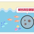 위드바디 휘트니스 이미지