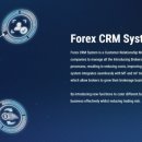 엠에프(MF) 이미지