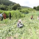 산자락영농조합법인 이미지