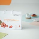 차차베리 이미지