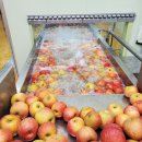 (사과즙)대구 팔공산 사과로 착즙한 100%생사과즙 판매합니다^^ 이미지