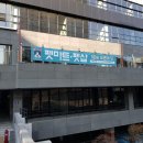 팰리스 독 이미지