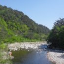 양양들꽃내음펜션 이미지