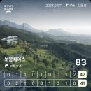 강원랜드골프클럽 | 넓고 그린 관리상태 좋으며, 적정한 전장을 제공하는 9홀 퍼블릭 보령베이스컨트리클럽 후기와 주변 맛집