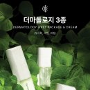 인셀덤 승리