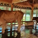 금지면 용전마을 이미지