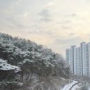 연오필라테스 | Feb 2026 (1) 눈이 펑펑 아름다운 설산 ❄️ • 육아일기 생후 273일~279일차 • 변산반도 소노벨...