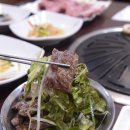 청도참기름 네이버블로그