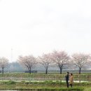 관곡지약국 이미지