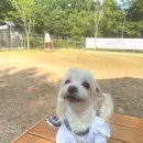 하계역 5번출구 버스정류장 이미지